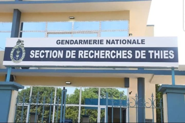 Thiès : Le berger qui avait sectionné les trois doigts d'un agent des eaux et forêts arrêté