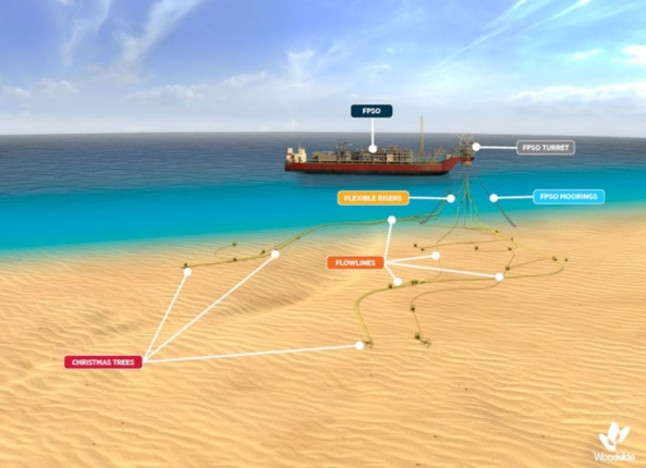 Combien le projet Sangomar peut vraiment rapporter au Sénégal Combien le projet Sangomar peut vraiment rapporter au Sénégal