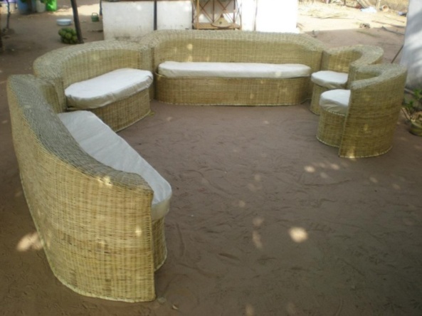 Une exposition destinée à la promotion du rônier, en décembre, dans la région de Thiès Une exposition destinée à la promotion du rônier, en décembre, dans la région de Thiès