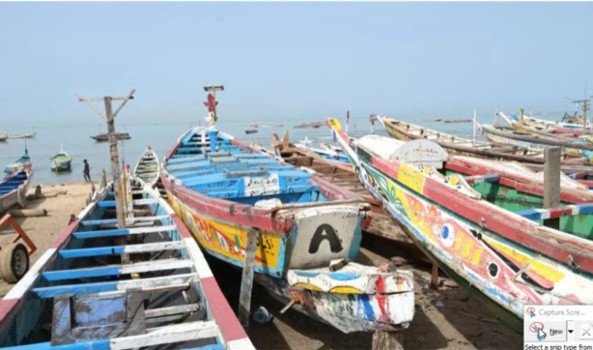 Tragédie au large de Dakar : Ce que les enquêteurs ont découvert sur les 30 corps retrouvés... Tragédie au large de Dakar : Ce que les enquêteurs ont découvert sur les 30 corps retrouvés...