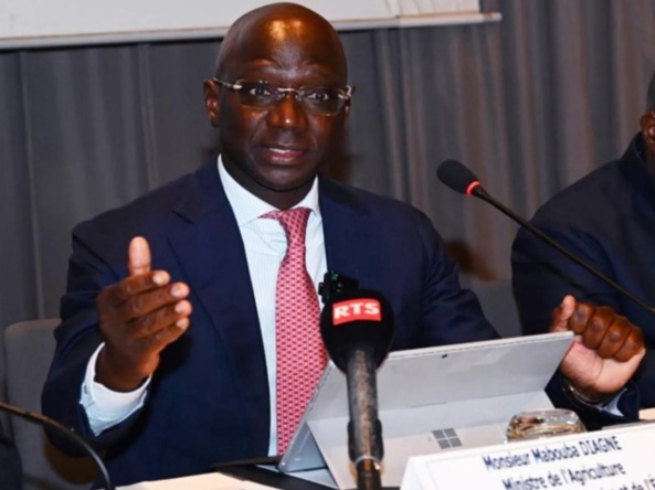 2e édition du Forum du patrimoine et de l’investissement : Dr. Mabouba Diagne invite le secteur financier, à accompagner les petits éleveurs et agriculteurs 2e édition du Forum du patrimoine et de l’investissement : Dr. Mabouba Diagne invite le secteur financier, à accompagner les petits éleveurs et agriculteurs