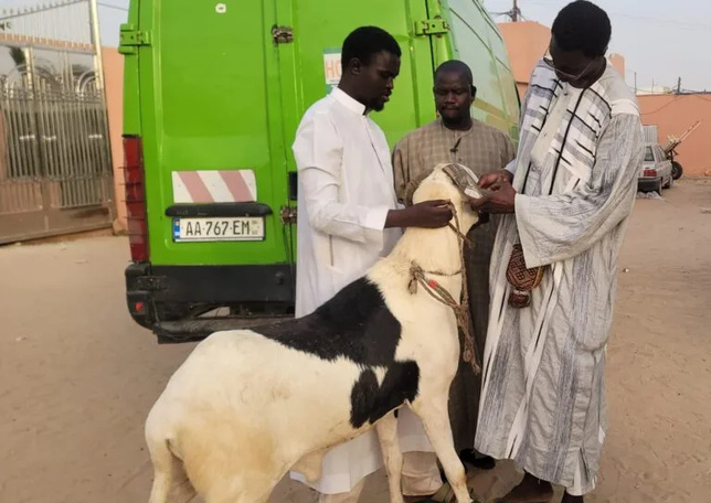 Tabaski 2025 : Ousmane Sonko offre un bélier à Serigne Mountakha Mbacké (photo)