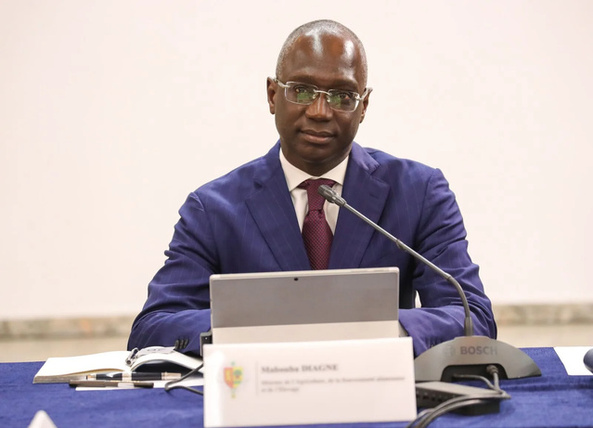 Mabouba Diagne installé comme président de la 44e Conférence de la FAO Mabouba Diagne installé comme président de la 44e Conférence de la FAO