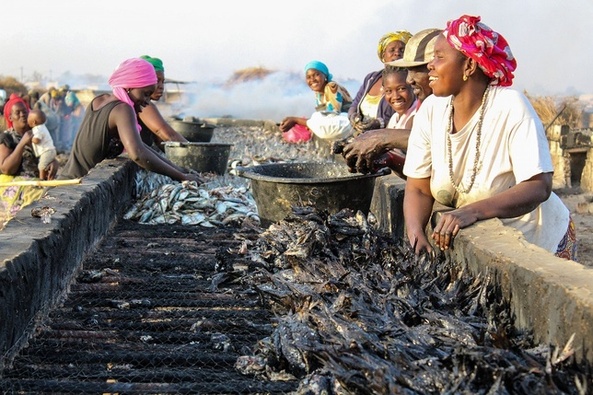 Joal-Fadiouth : Les femmes ostréicultrices reçoivent un soutien de 170 millions de FCFA Joal-Fadiouth : Les femmes ostréicultrices reçoivent un soutien de 170 millions de FCFA