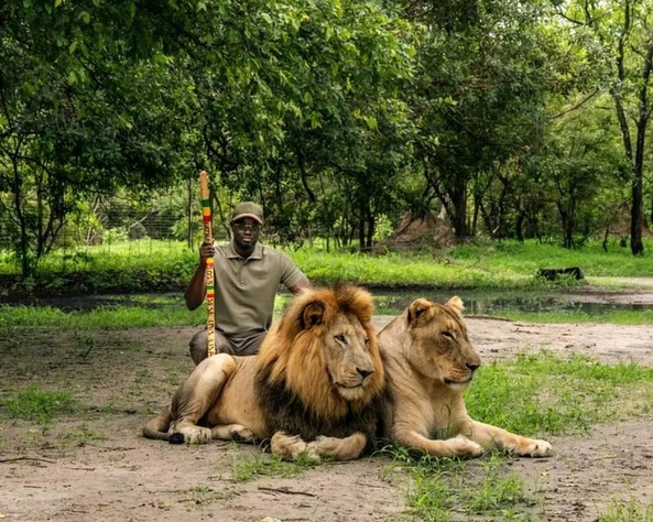 Cinq jours d’immersion présidentielle au coeur du Sénégal: Bassirou Diomaye Faye en prise directe avec les terroirs Cinq jours d’immersion présidentielle au coeur du Sénégal: Bassirou Diomaye Faye en prise directe avec les terroirs