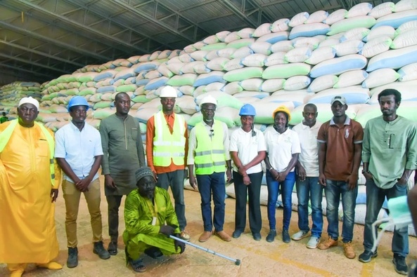 Campagne saison chaude 2025: Production record de riz dans la vallée du fleuve Campagne saison chaude 2025: Production record de riz dans la vallée du fleuve