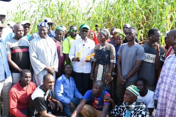 Kédougou : le ministre Mabouba Diagne annonce un important appui en matériel agricole subventionné à 60 %.