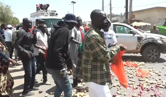 Colère dans les Niayes : des producteurs jettent des tonnes de pommes de terre et de légumes Colère dans les Niayes : des producteurs jettent des tonnes de pommes de terre et de légumes