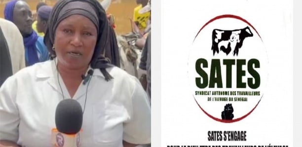 Le Syndicat des travailleurs de l'Élevage liste les défis du ministre Mabouba Diagne Le Syndicat des travailleurs de l'Élevage liste les défis du ministre Mabouba Diagne