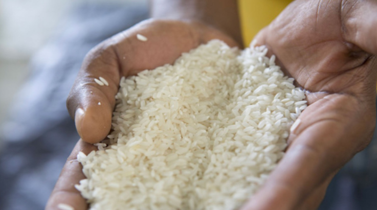 Le kg du riz parfumé indien connaît une hausse de plus de 50 Francs CFA Le kg du riz parfumé indien connaît une hausse de plus de 50 Francs CFA