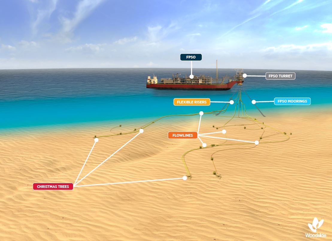 Combien le projet Sangomar peut vraiment rapporter au Sénégal Combien le projet Sangomar peut vraiment rapporter au Sénégal