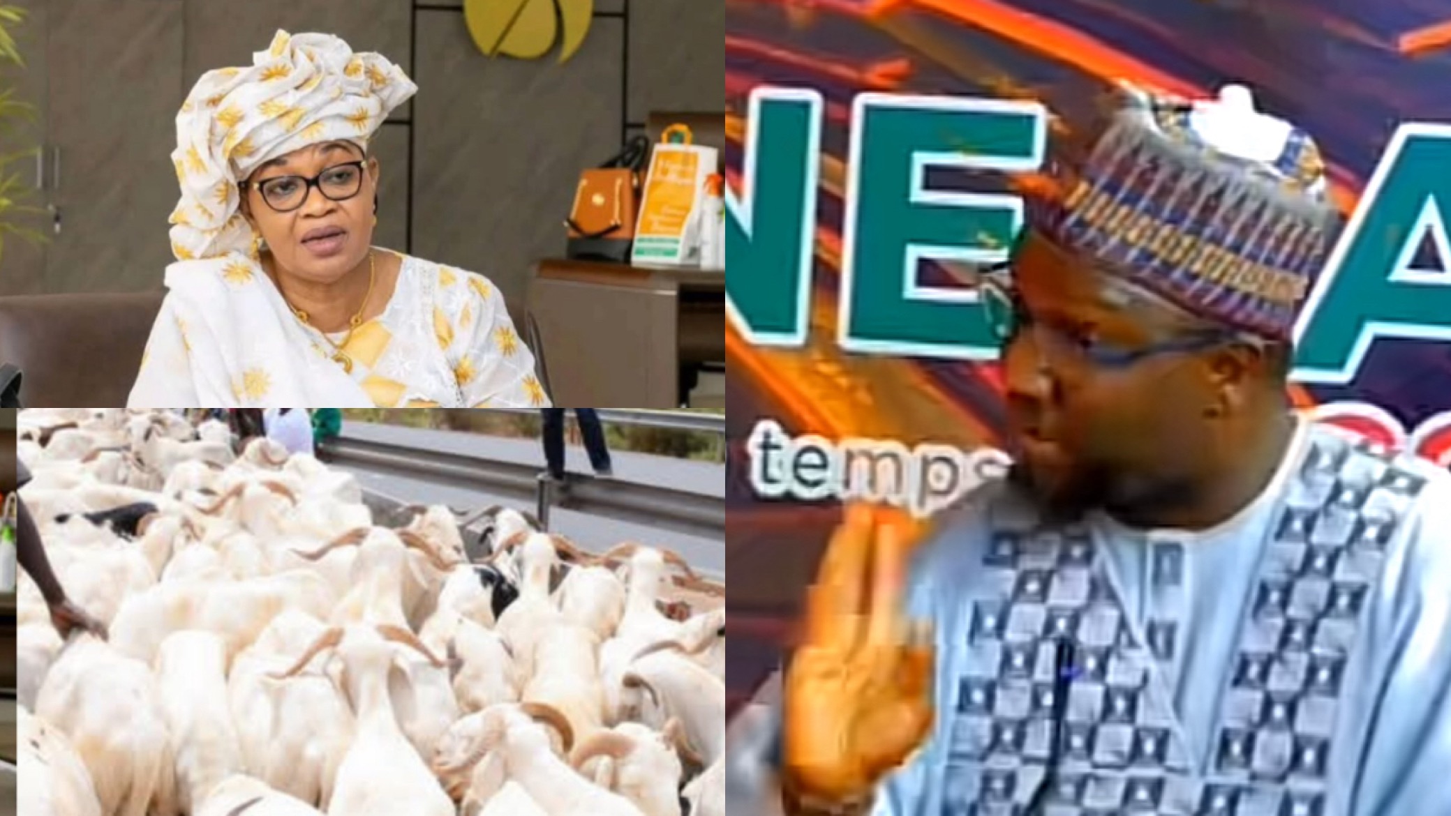 Tabaski : Cheikh Oumar Diagne révèle le scandale sur la distribution de moutons par la DER/FJ