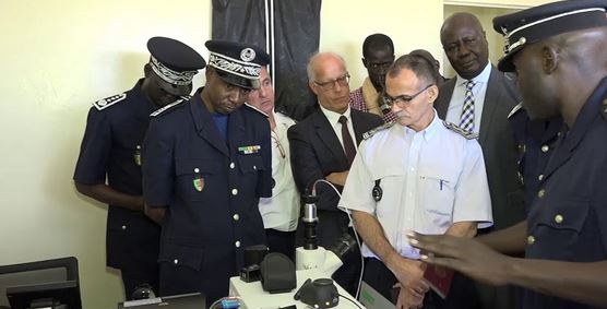 Division spéciale de cybersécurité : Police des réseaux sociaux, gardien des mœurs