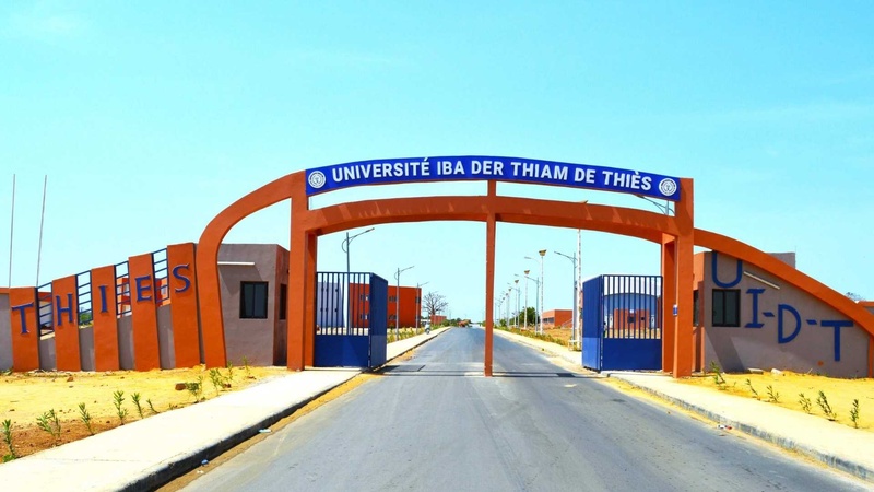 Université Iba Der Thiam de Thiès : 100 % de réussite à la 47e session du CAMES