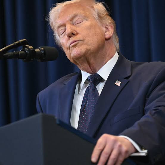 Le «discours de haine raciste» de Donald Trump dénoncé par un comité de l'ONU