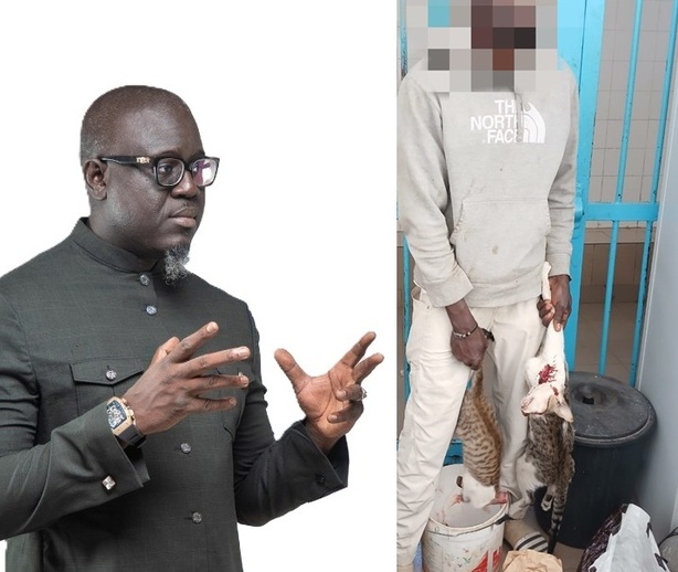 Tahirou Sarr : « Si nous proposons d’interdire la vente d’aliments par des étrangers… »