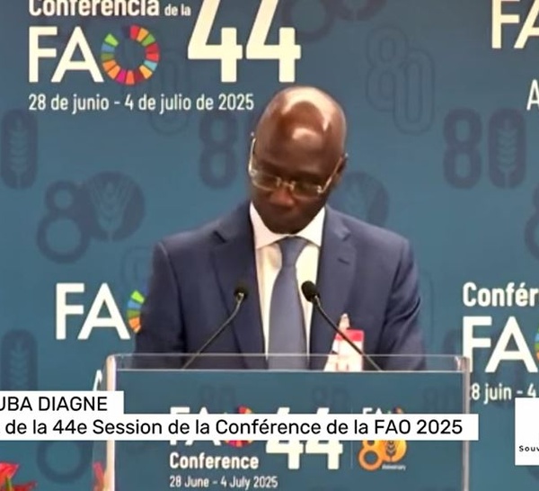 Le Sénégal préside la 44e Conférence de la FAO : une voix africaine pour nourrir le monde