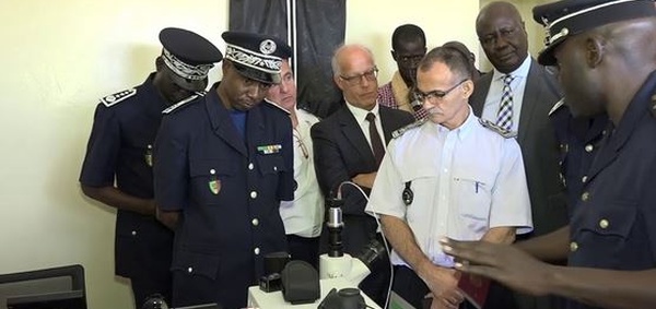 Division spéciale de cybersécurité : Police des réseaux sociaux, gardien des mœurs