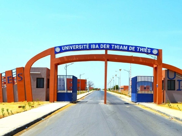 Université Iba Der Thiam de Thiès : 100 % de réussite à la 47e session du CAMES