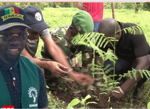 Journée de l’arbre 2025 : Ousmane Sonko attendu à Rao ce dimanche