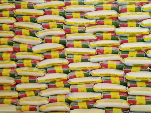 Vallée du fleuve Sénégal : les riziculteurs réclament un meilleur écoulement du riz local