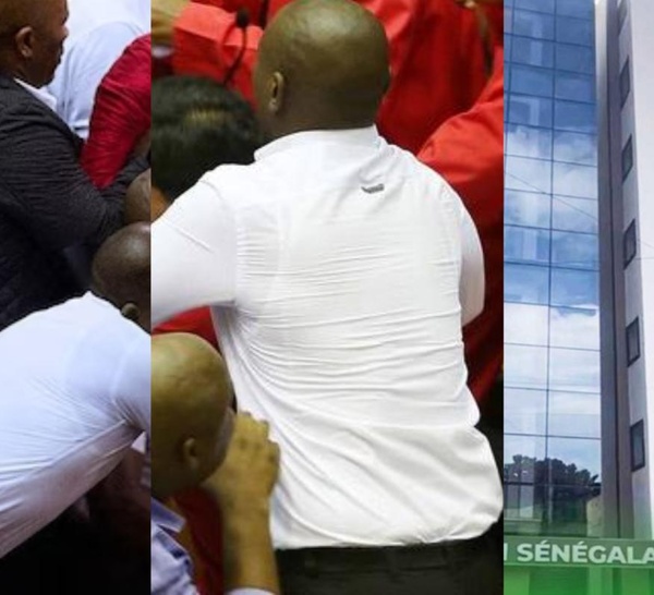 FSF : un Comex électrique, récit d'un déballage