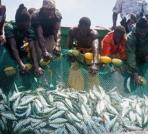Journée mondiale de la pêche : Le Collectif national des mareyeurs pour le développement du Sénégal liste leurs doléances