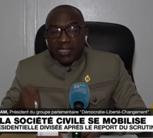Report de la présidentielle au Sénégal : Lamine Thiam président du groupe parlementaire du PDS déplore la situation qui c'est passé au conseil constitutionnel 