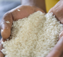 Le kg du riz parfumé indien connaît une hausse de plus de 50 Francs CFA