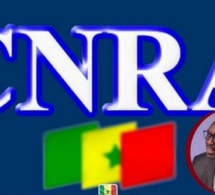 AVERTISSEMENT AUX MEDIAS POUR CONTINUER D’EXERCER : Le Cnra accorde 30 jours aux télés, radios et web tv pour obtenir l'autorisation de la tutelle