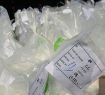Bissau: saisie importante de drogue dans un aéronef en provenance du Mexique
