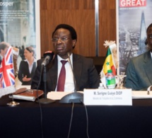 Rencontre bilatérale Sénégal-Royaume-Uni : Dr Serigne Gueye Diop plaide pour une diversification des exportations