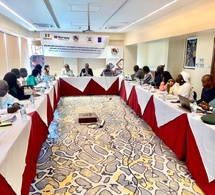 Les ateliers de renforcement des capacités organisés par la Commission Nationale des Droits de l'Homme du Sénégal, en partenariat avec UPR Info et la RADDHO, se poursuivent avec succès.
