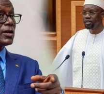 Thierno Alassane Sall : « La chimère Diomaye mooy Sonko n’aura duré que le temps d’un hivernage »