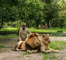 Cinq jours d’immersion présidentielle au coeur du Sénégal: Bassirou Diomaye Faye en prise directe avec les terroirs