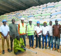 Campagne saison chaude 2025: Production record de riz dans la vallée du fleuve