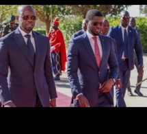 Conflit Diomaye-Sonko : Hamidou Anne rappelle àl'ordre, « la Constitution doit être leur boussole »