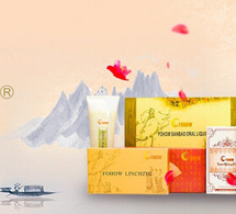 ADRESSE FOHOW THIES CARRIERE /TEL : 772080657