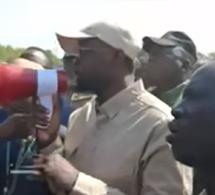 Commercialisation de l’arachide : le PM Sonko mobilise des milliards pour la Sonacos