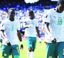 Avant leur match décisif, mauvaise nouvelle pour les les Lions